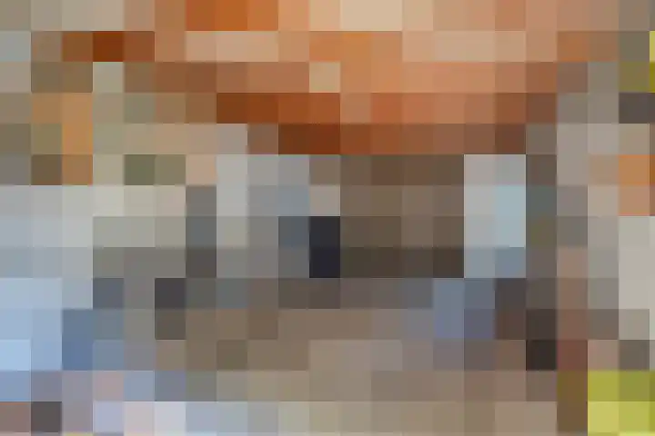 Ruys van Splintersingel 20 Beesel thumbnail 69