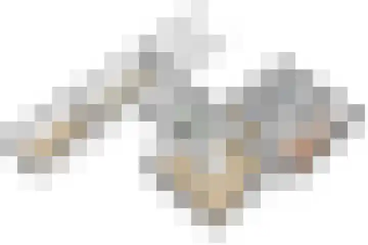 Ruys van Splintersingel 20 Beesel thumbnail 73