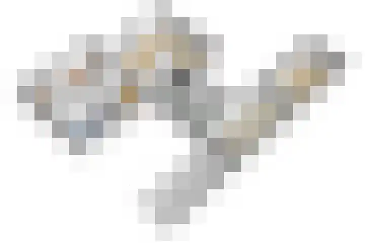 Ruys van Splintersingel 20 Beesel thumbnail 74