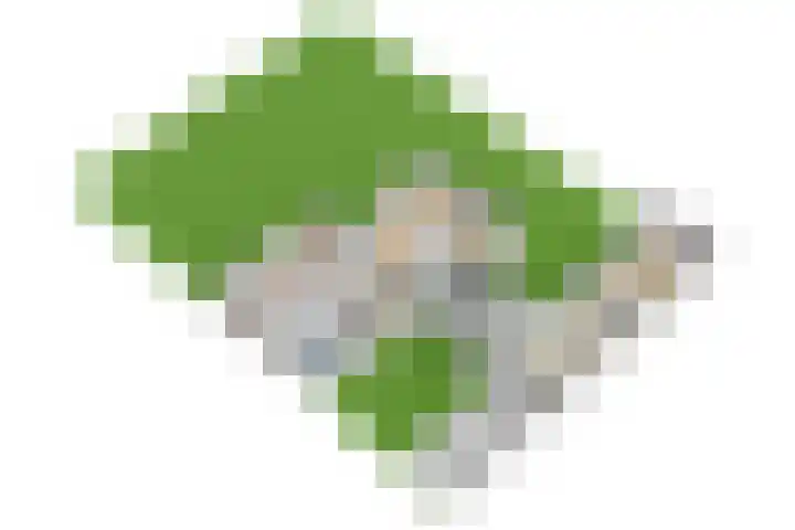 Ruys van Splintersingel 20 Beesel thumbnail 84
