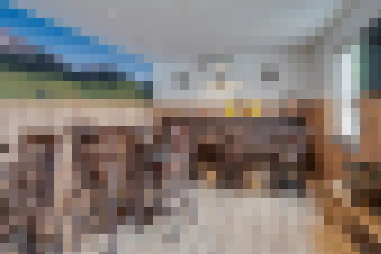 Ruys van Splintersingel 26 Beesel thumbnail 69