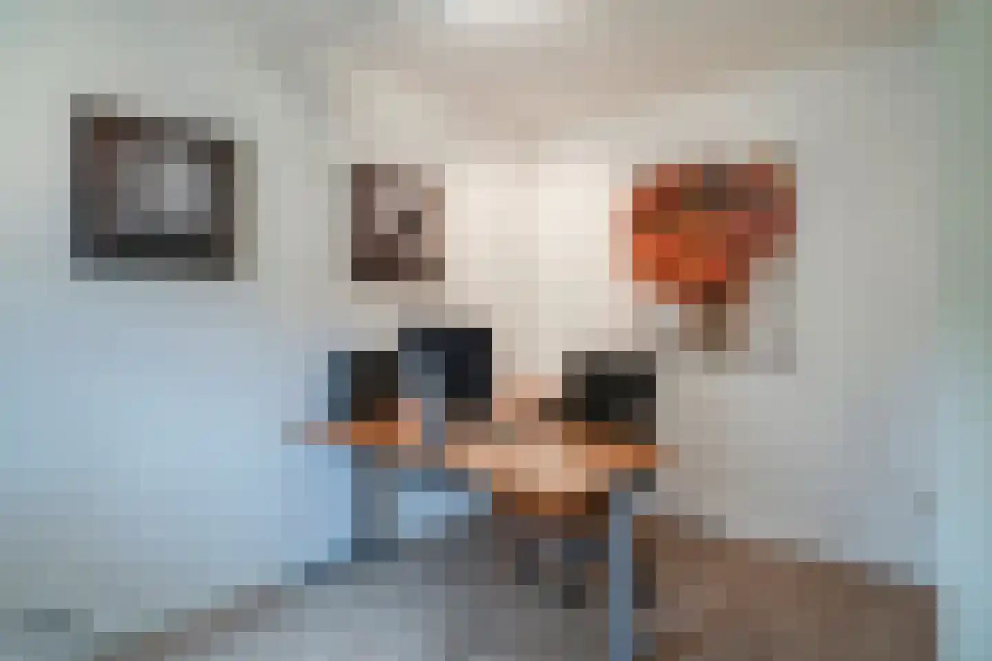 Ruys van Splintersingel 26 Beesel thumbnail 73