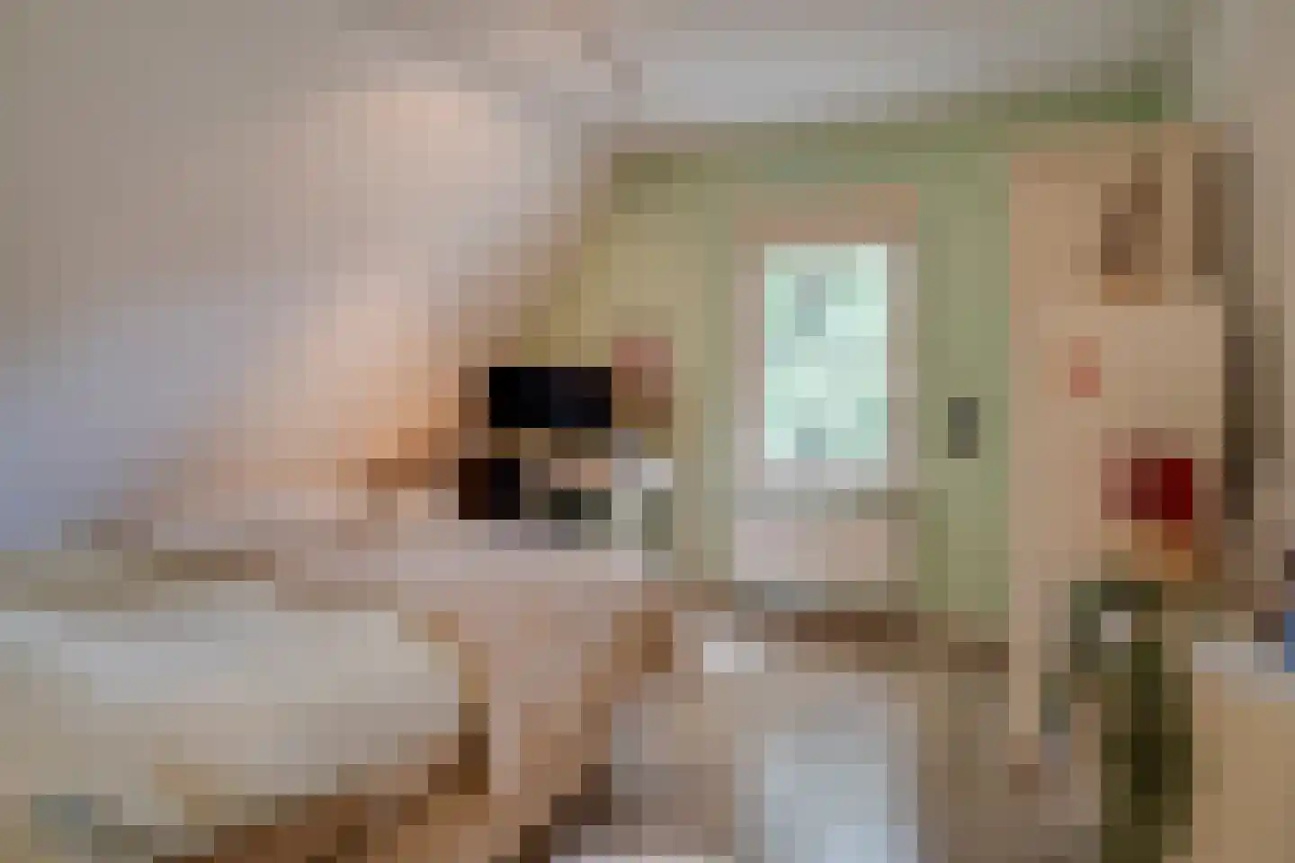 Ruys van Splintersingel 26 Beesel thumbnail 80