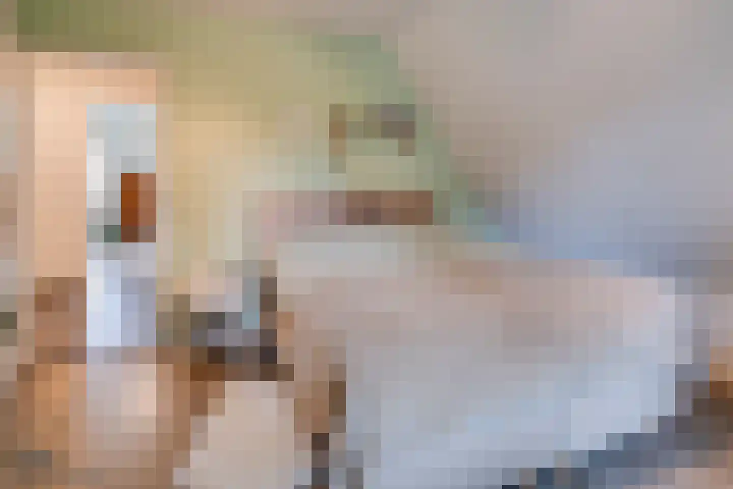 Ruys van Splintersingel 26 Beesel thumbnail 81