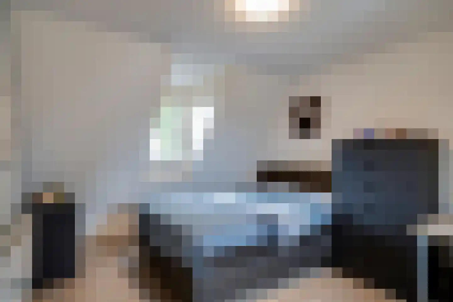 Ruys van Splintersingel 26 Beesel thumbnail 84