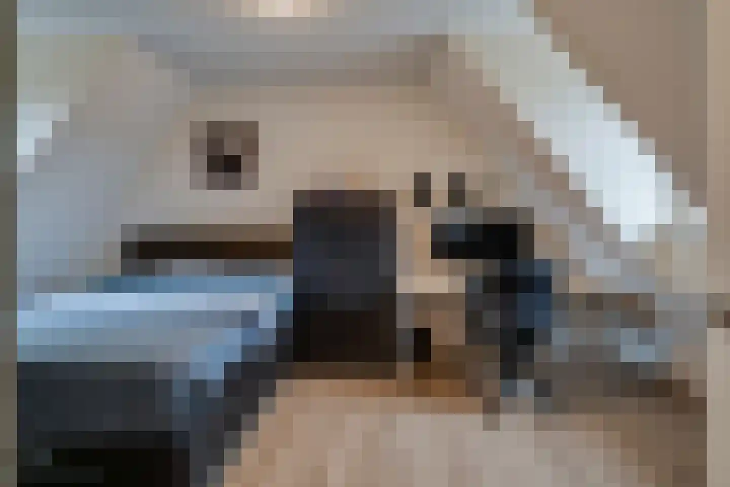 Ruys van Splintersingel 26 Beesel thumbnail 86