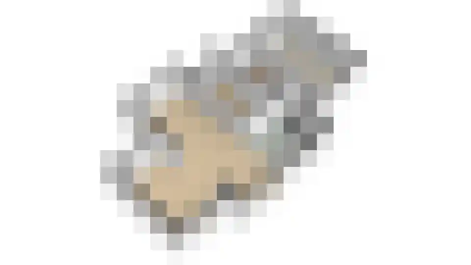 Ruys van Splintersingel 26 Beesel thumbnail 89