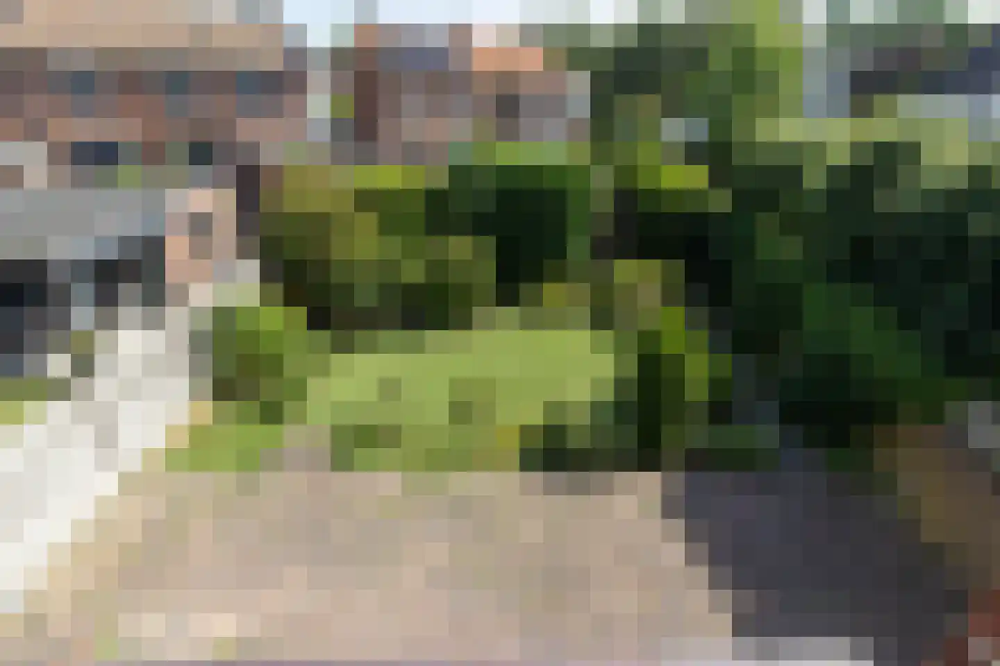 Ruys van Splintersingel 5 Beesel thumbnail 11