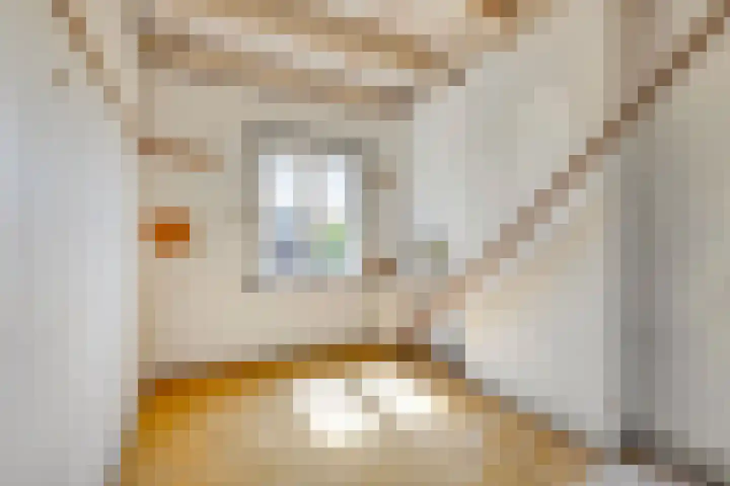 Ruyschstraat 102 1 Amsterdam thumbnail 25