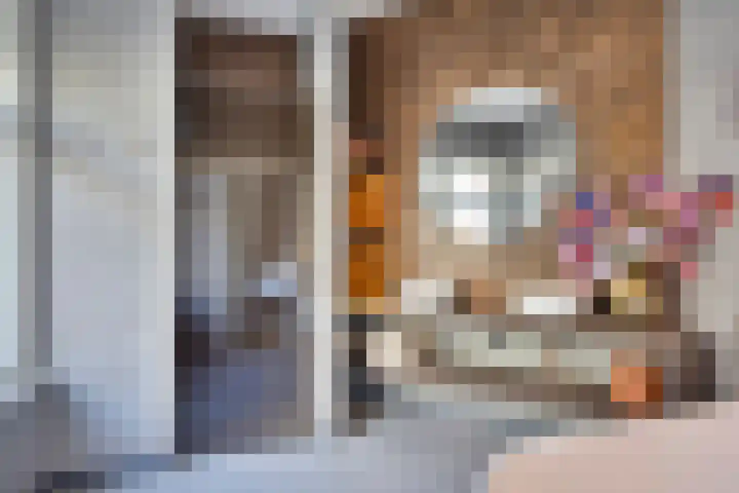 Ruyschstraat 14 B Amsterdam thumbnail 4