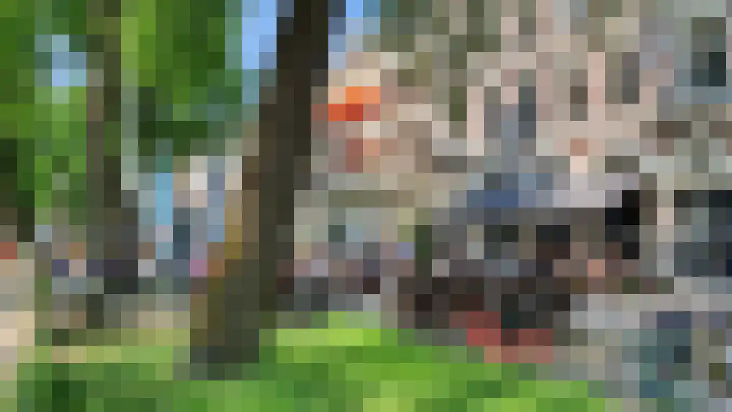 Ruyschstraat 15 1 Amsterdam thumbnail 23