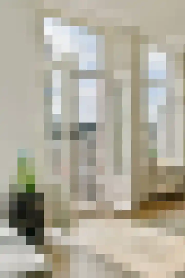 Ruyschstraat 313 B Amsterdam thumbnail 5
