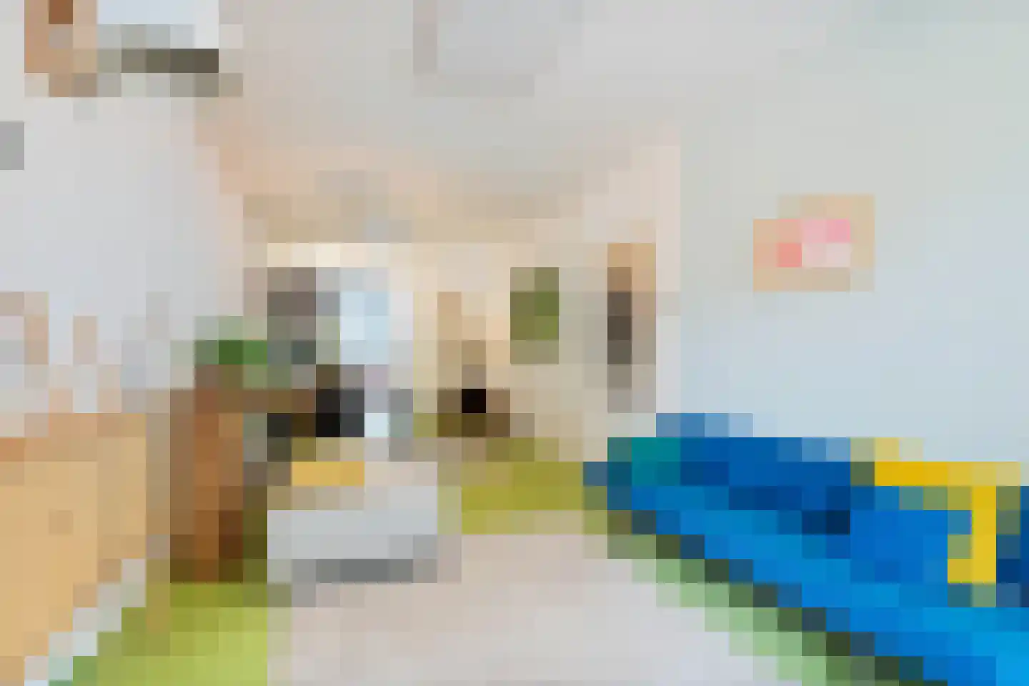 Ruyschstraat 315 Amsterdam thumbnail 10