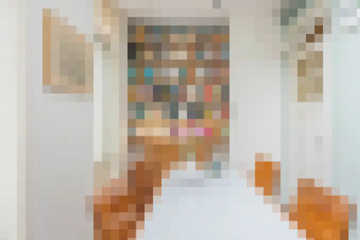 Ruyschstraat 315 Amsterdam thumbnail 23