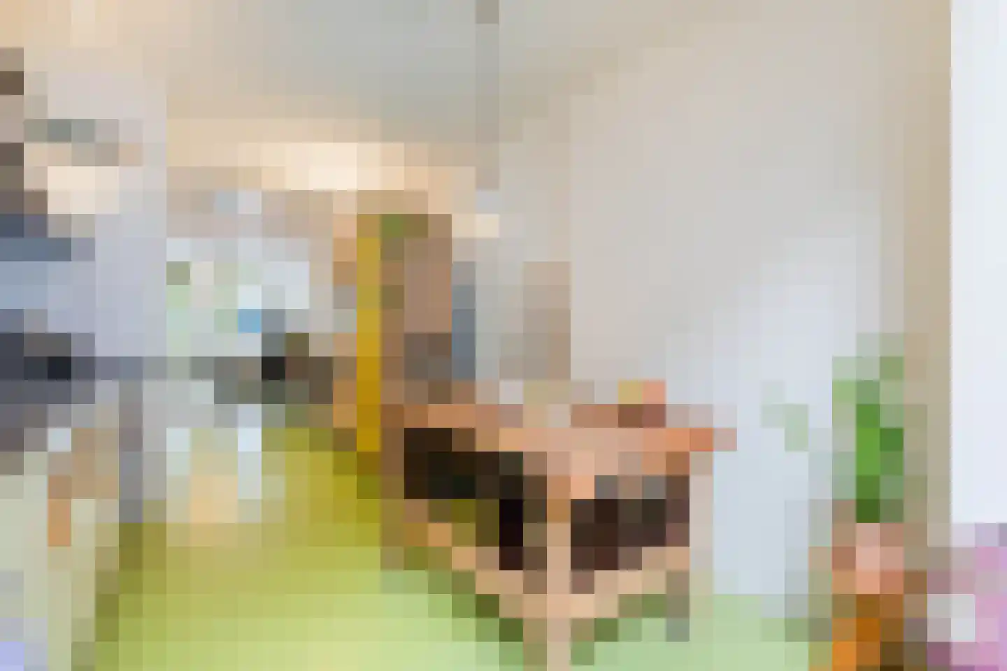 Ruyschstraat 315 Amsterdam thumbnail 32
