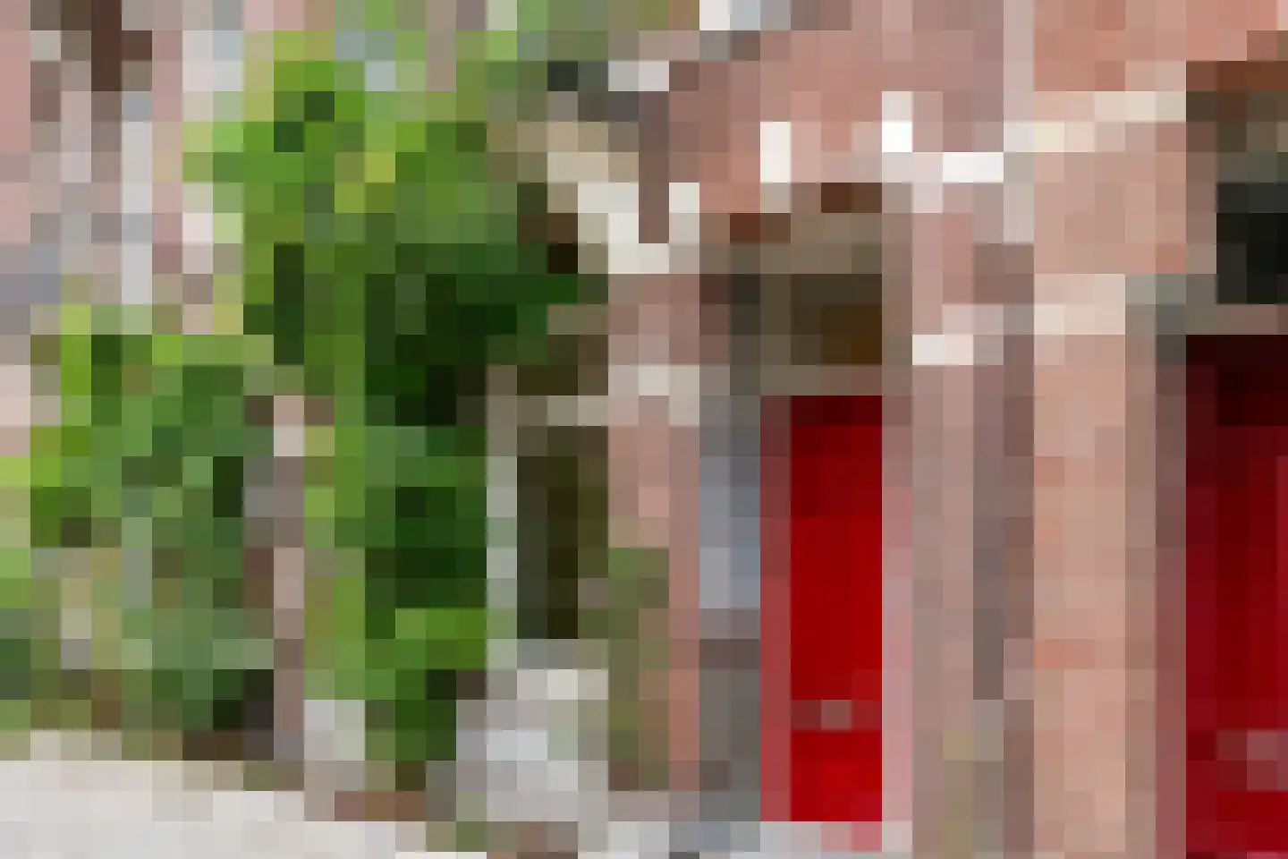 Ruyschstraat 315 Amsterdam thumbnail 6