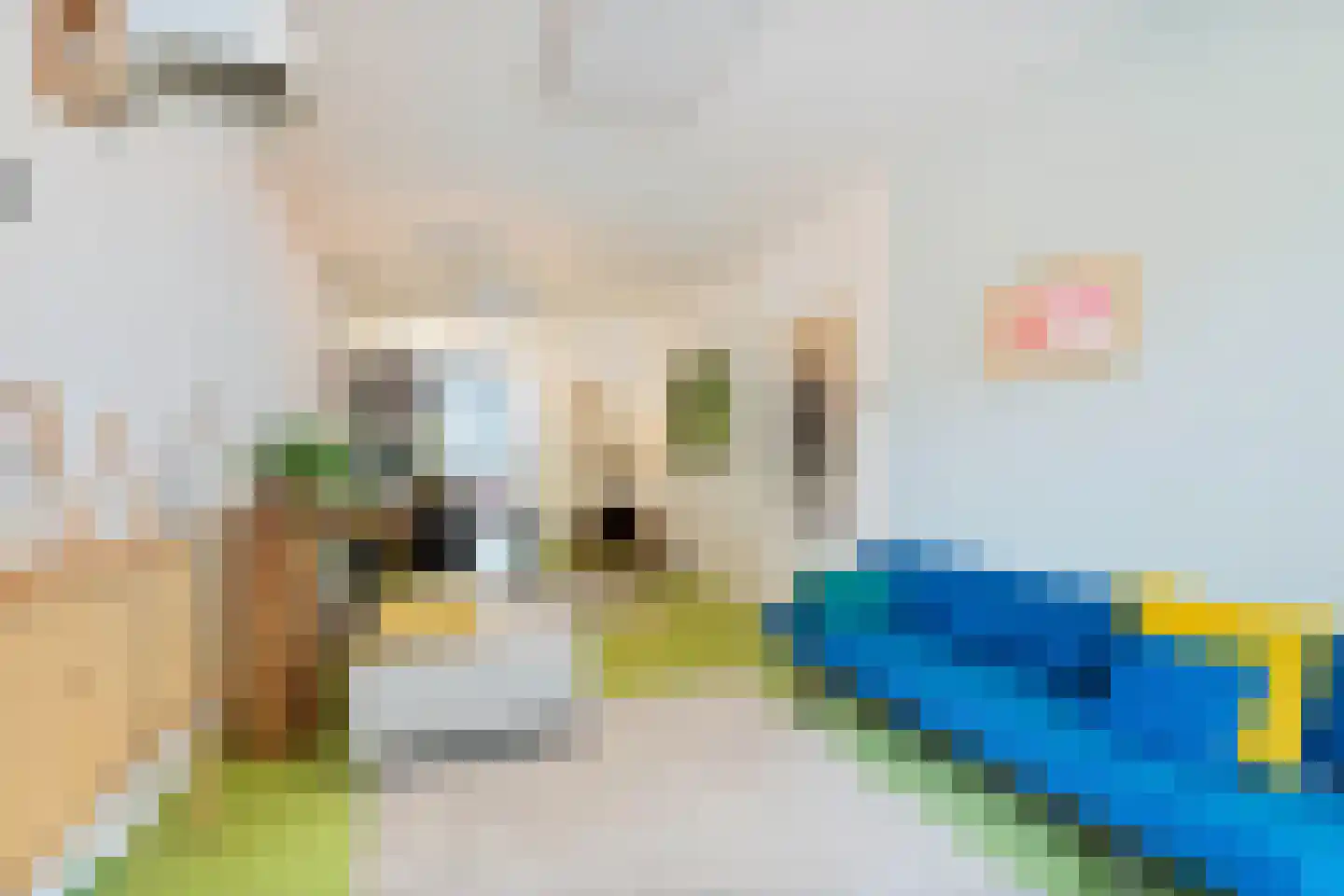 Ruyschstraat 315 Amsterdam thumbnail 9