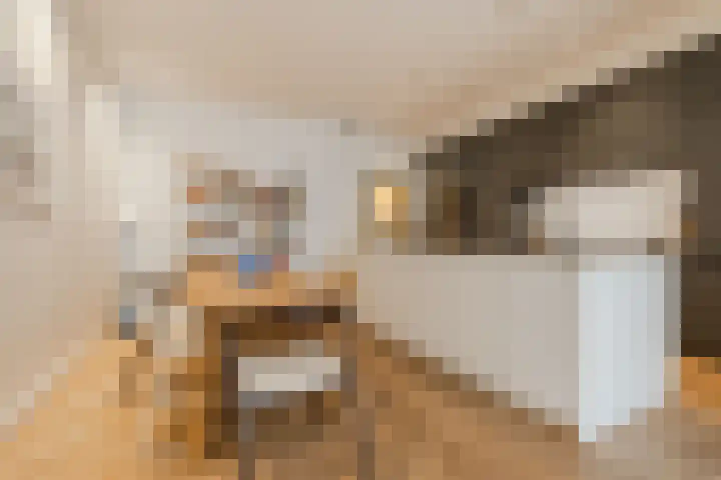 Ruyschstraat 331 Amsterdam thumbnail 12