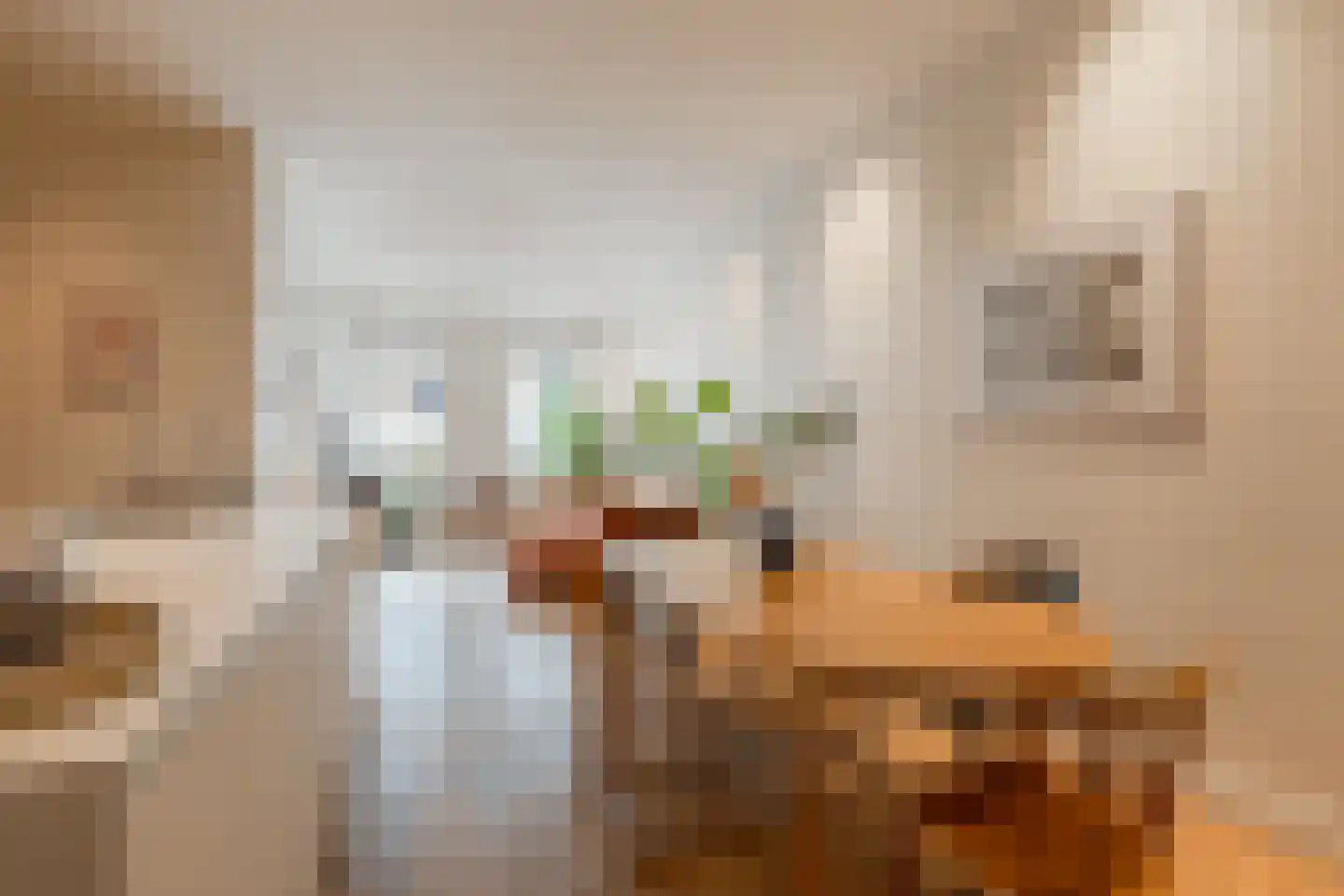 Ruyschstraat 331 Amsterdam thumbnail 13