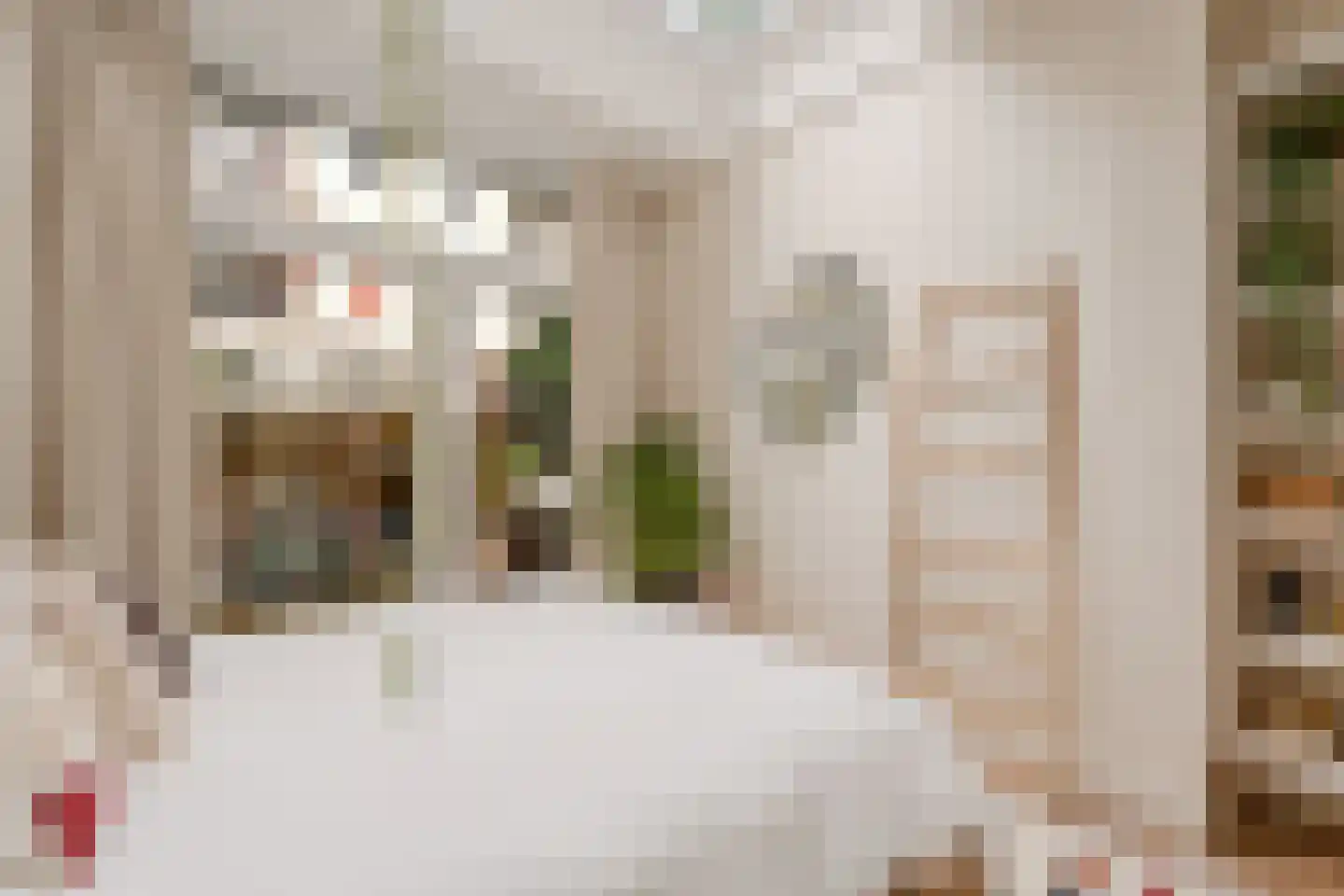 Ruyschstraat 331 Amsterdam thumbnail 28