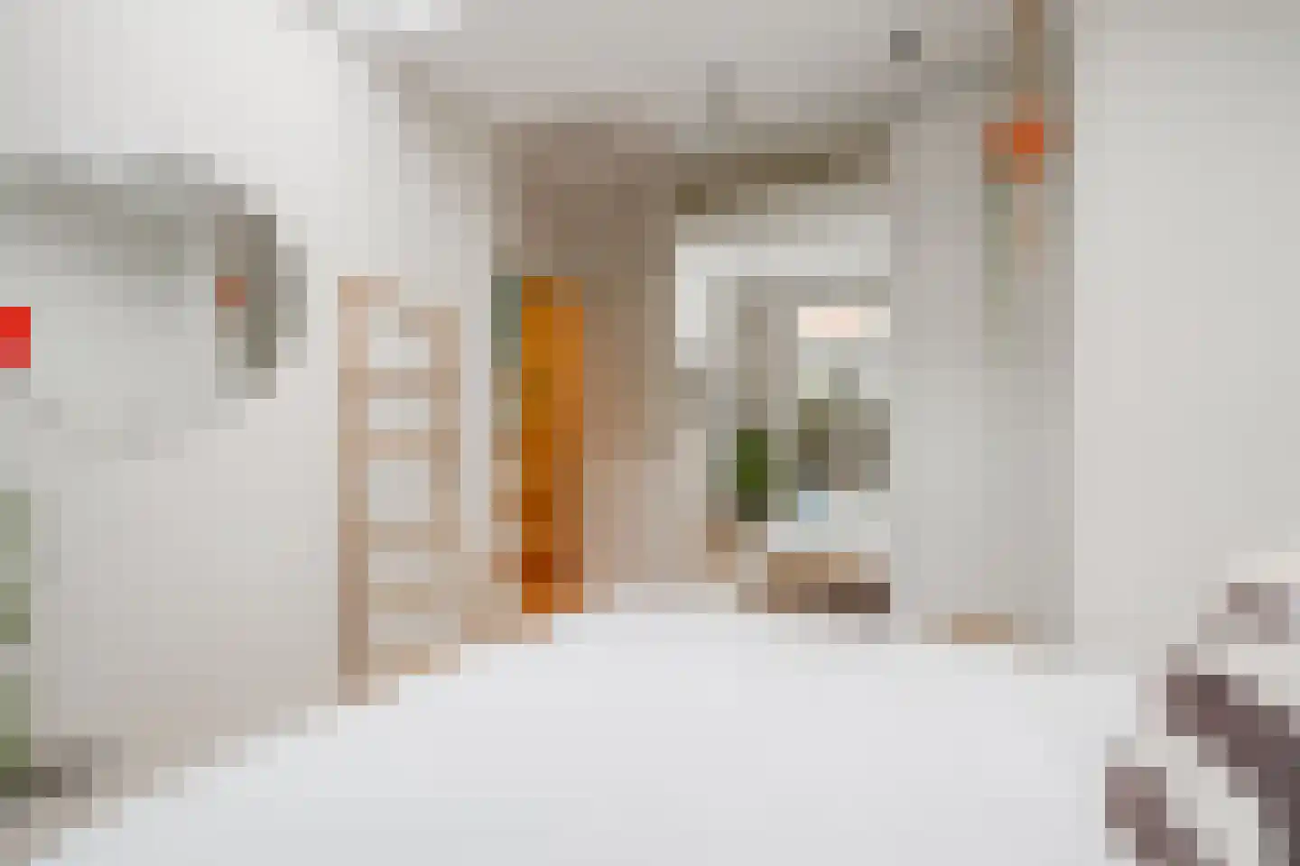Ruyschstraat 331 Amsterdam thumbnail 29