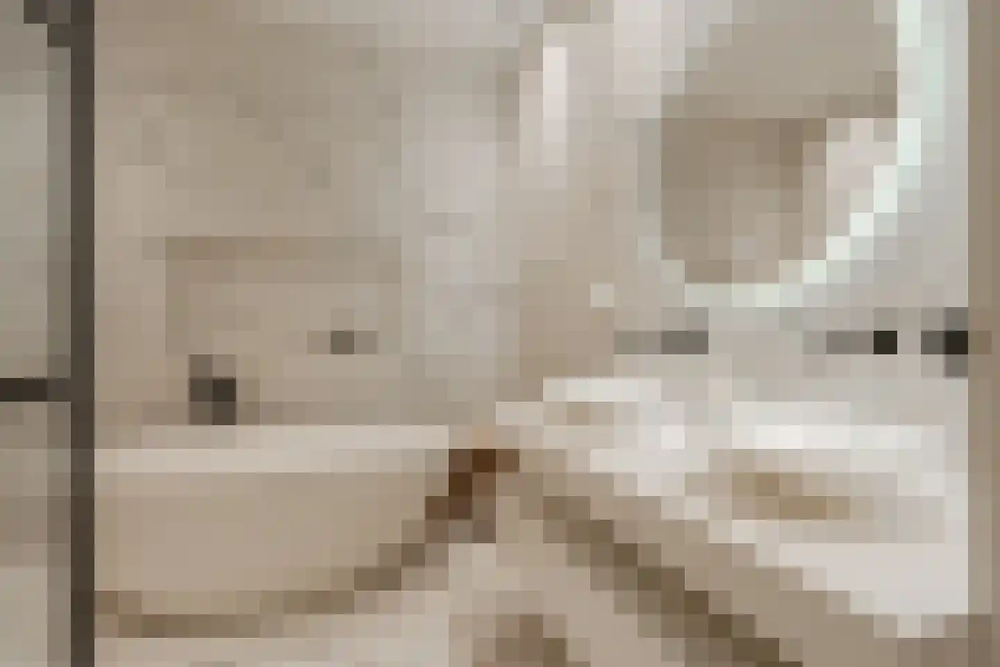 Ruyschstraat 331 Amsterdam thumbnail 32