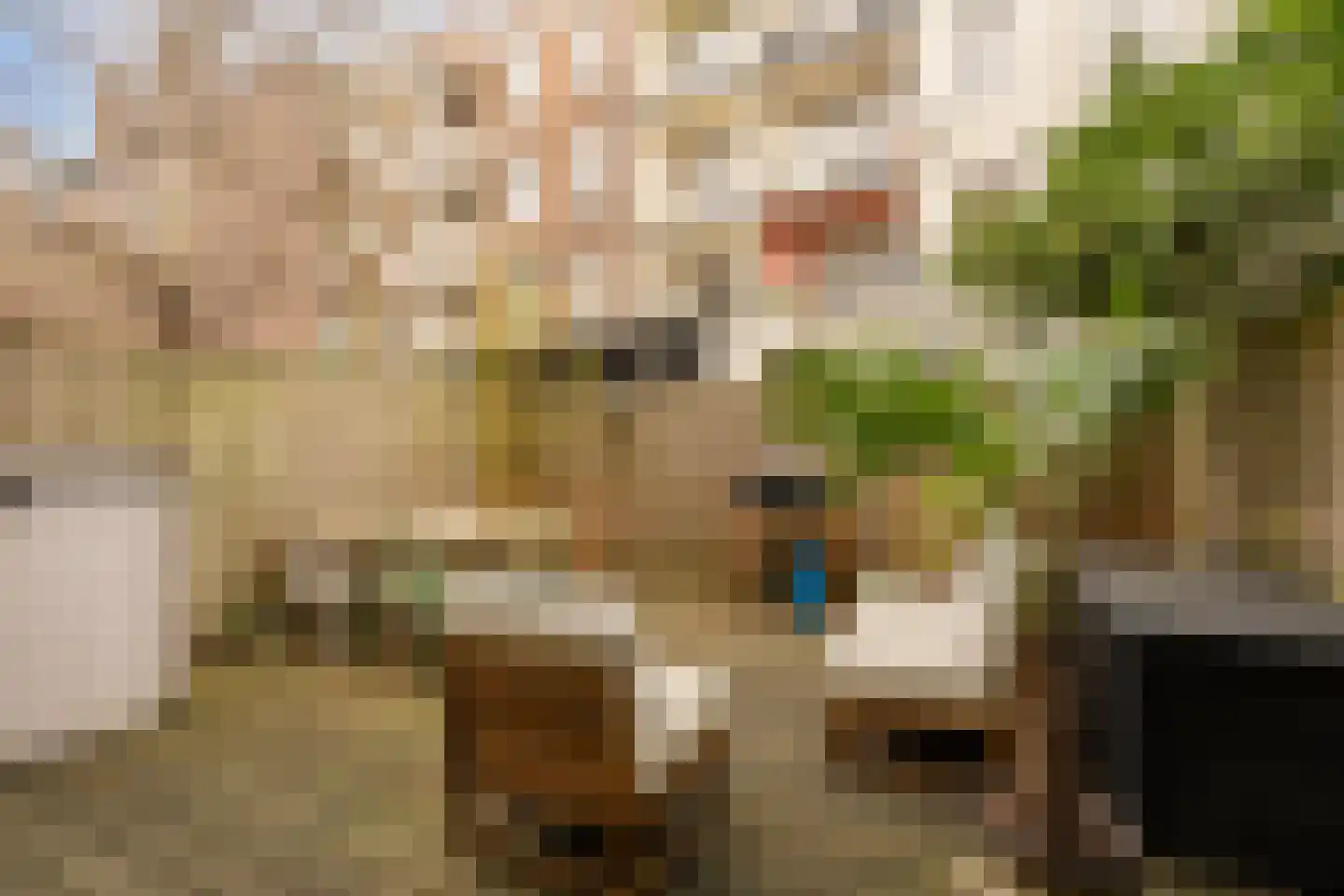 Ruyschstraat 331 Amsterdam thumbnail 4