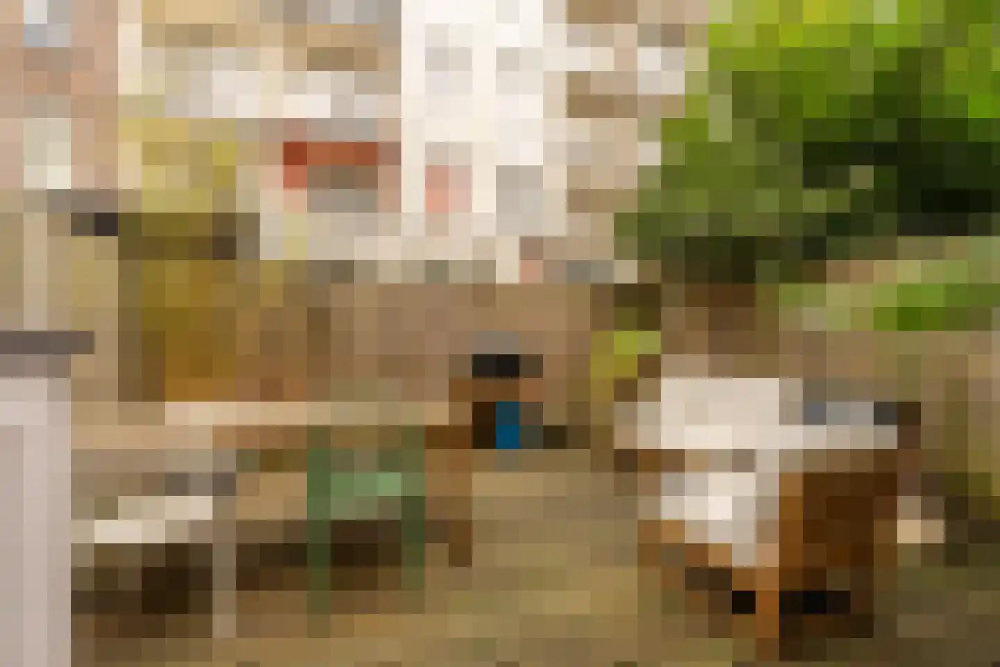 Ruyschstraat 331 Amsterdam thumbnail 40