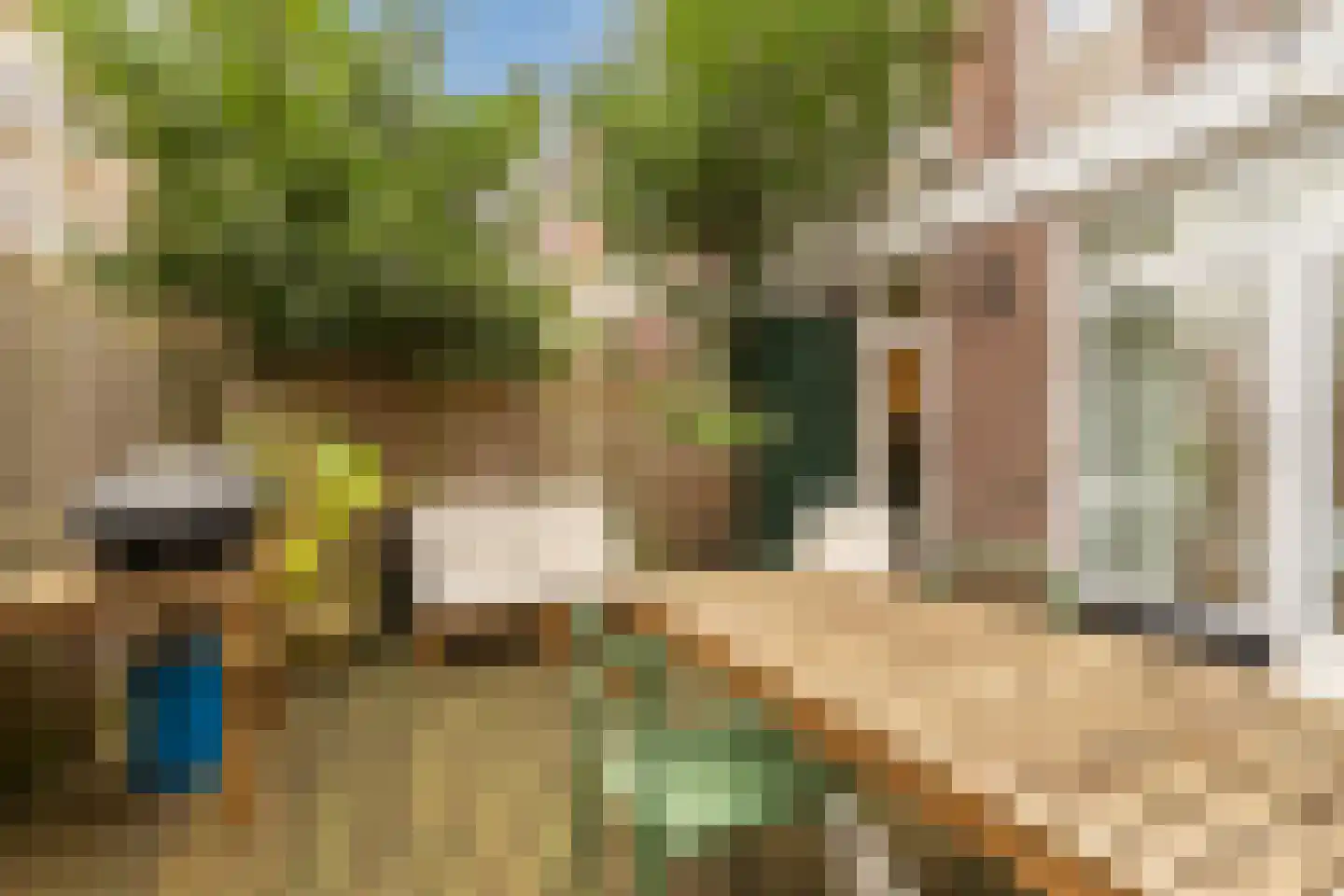 Ruyschstraat 331 Amsterdam thumbnail 42