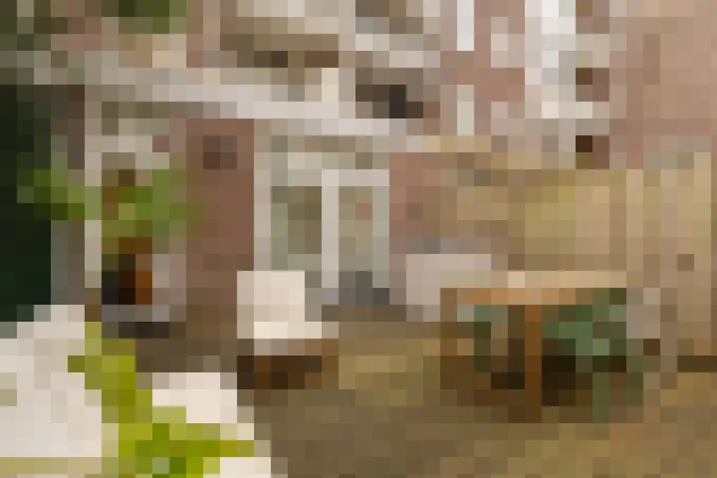 Ruyschstraat 331 Amsterdam thumbnail 44