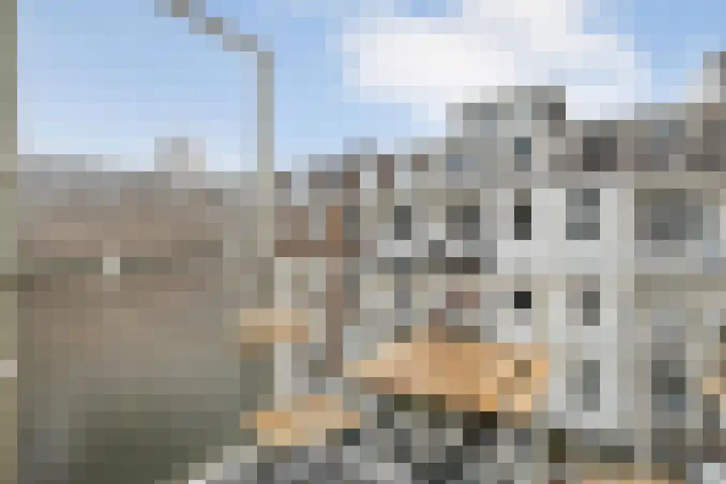Ruyschstraat 343 Amsterdam thumbnail 7