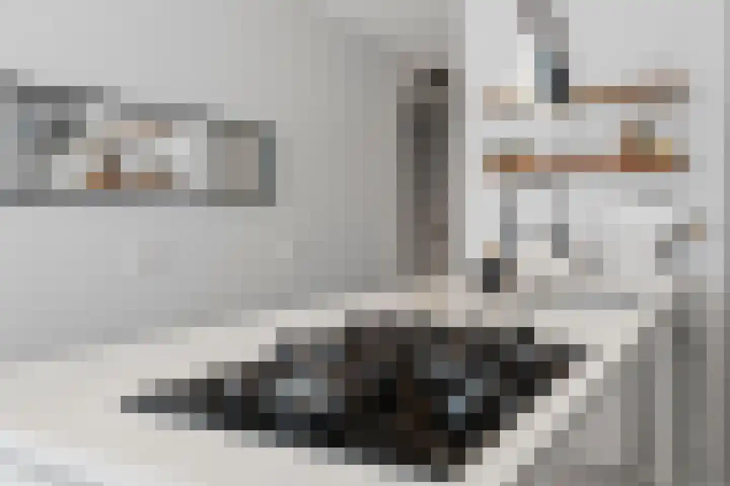 Ruyschstraat 357 Amsterdam thumbnail 13