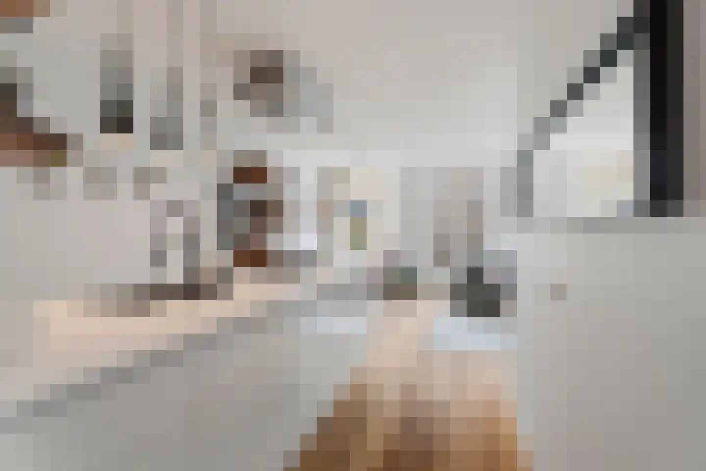 Ruyschstraat 357 Amsterdam thumbnail 14