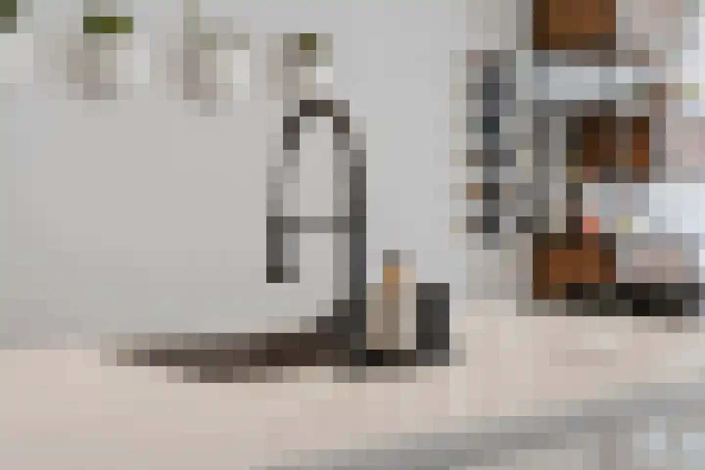 Ruyschstraat 357 Amsterdam thumbnail 15