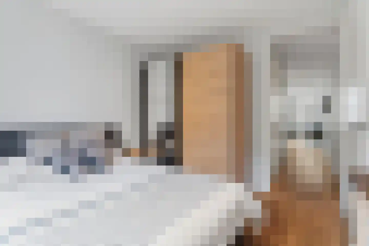 Ruyschstraat 357 Amsterdam thumbnail 22