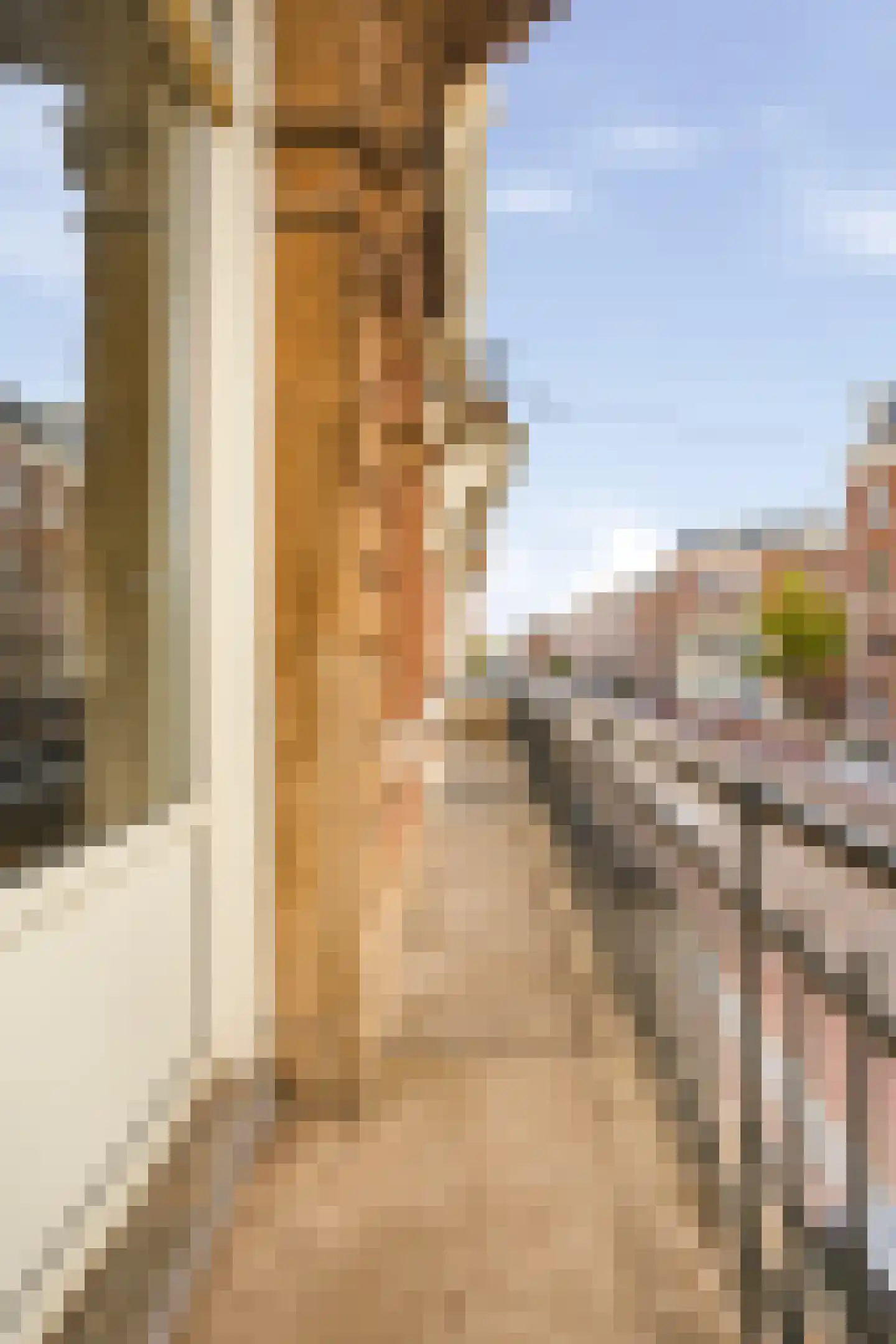 Ruyschstraat 5 H Amsterdam thumbnail 34