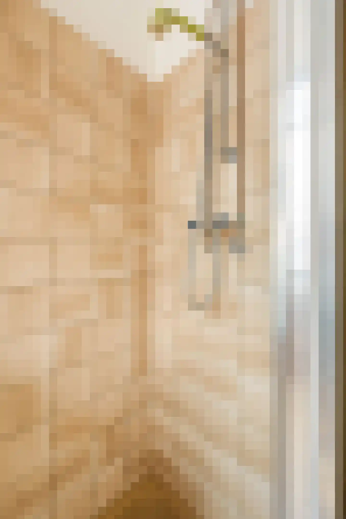 Ruyschstraat 5 H Amsterdam thumbnail 39