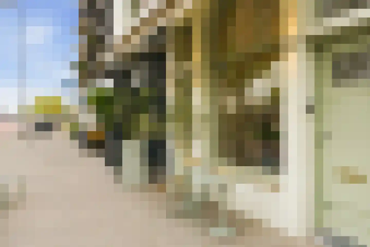 Ruyschstraat 5 H Amsterdam thumbnail 53