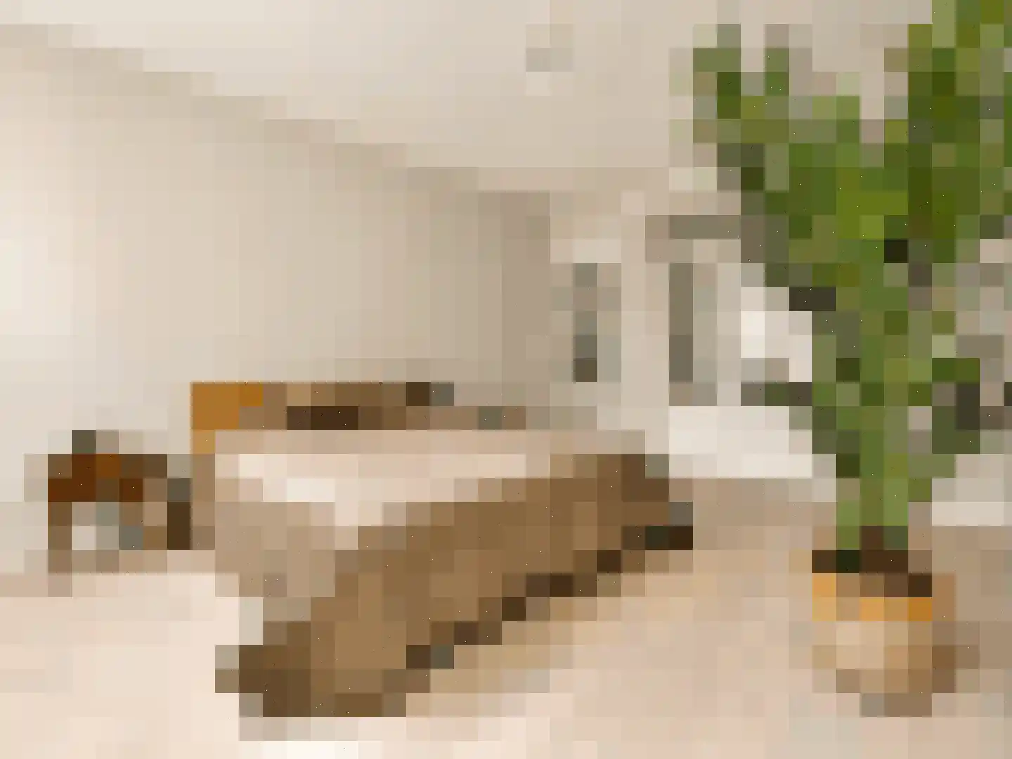 Ruyschstraat 50 1 Amsterdam thumbnail 16