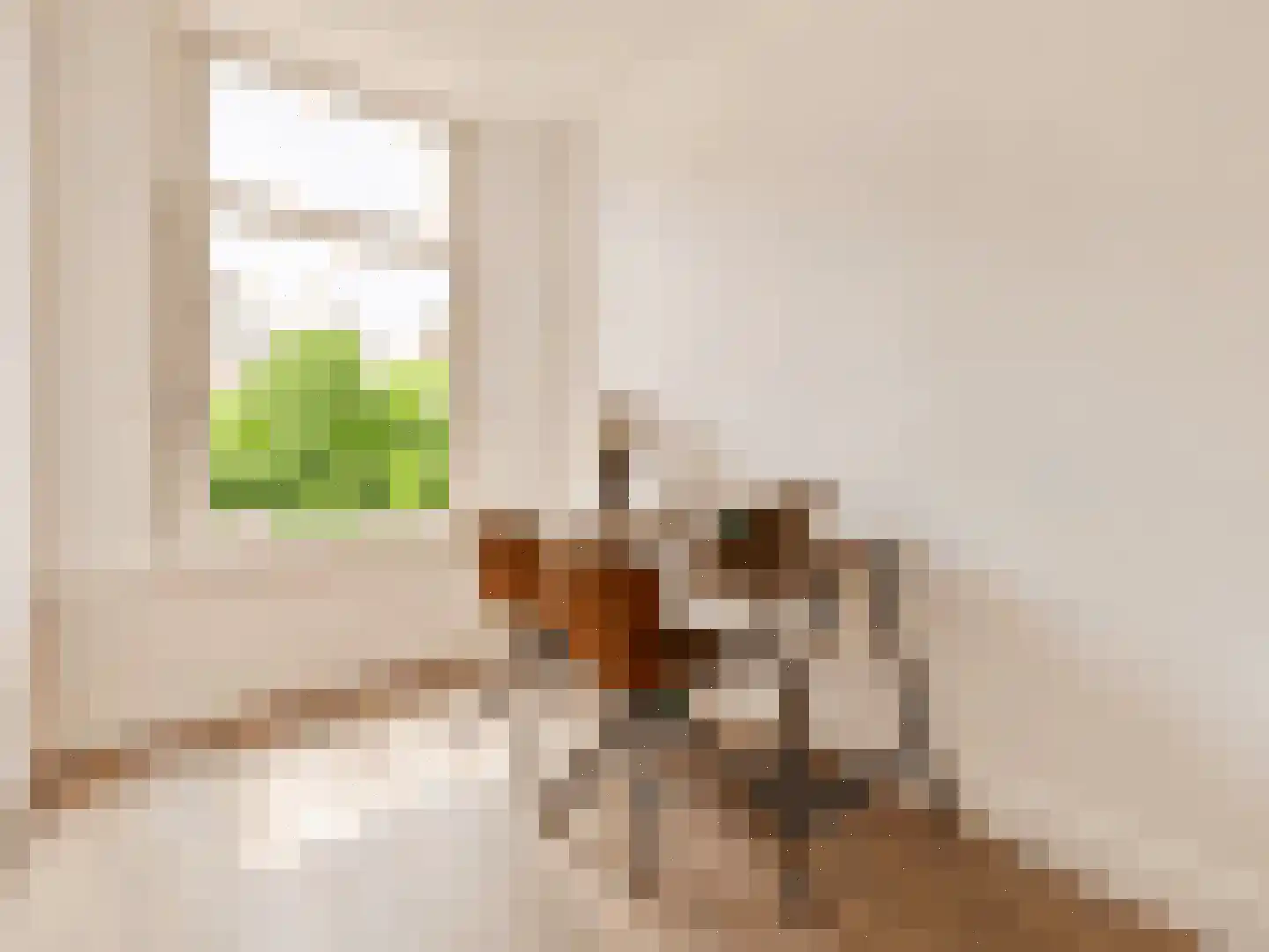 Ruyschstraat 50 1 Amsterdam thumbnail 23