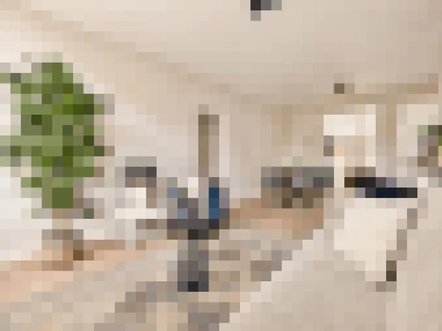 Ruyschstraat 50 2 Amsterdam thumbnail 10