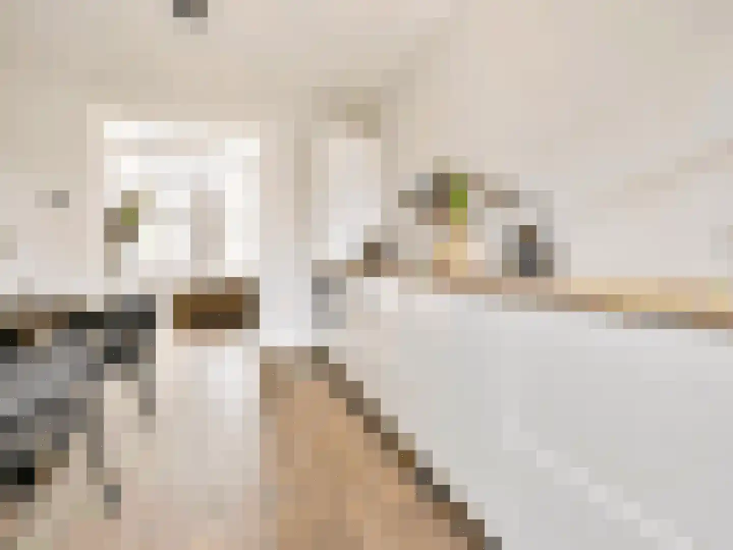 Ruyschstraat 50 2 Amsterdam thumbnail 12
