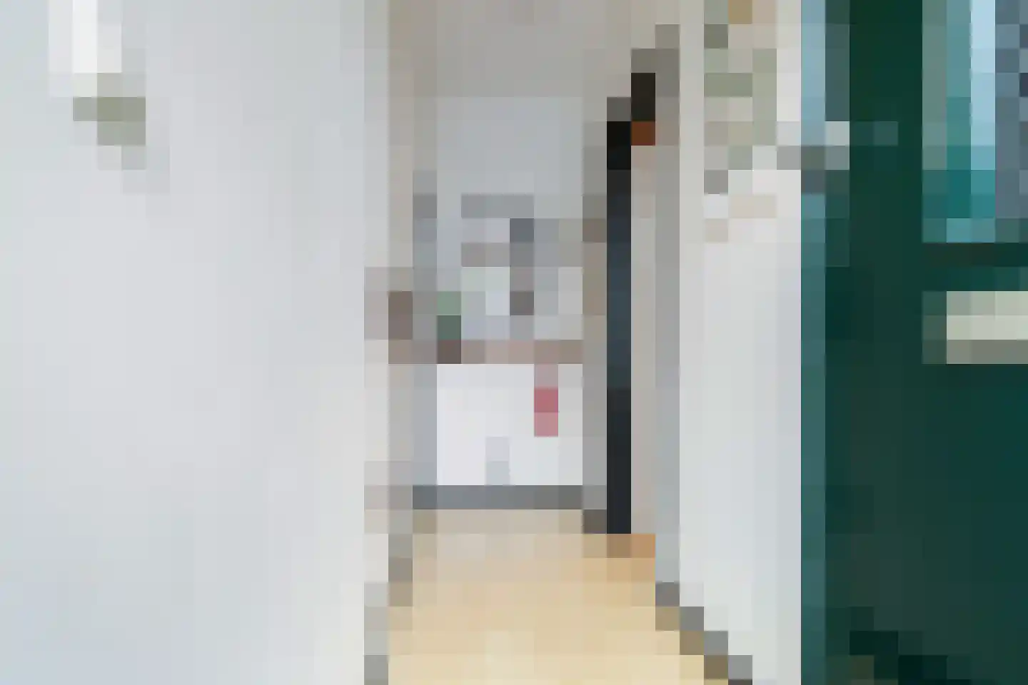 Ruyschstraat 50 H Amsterdam thumbnail 5