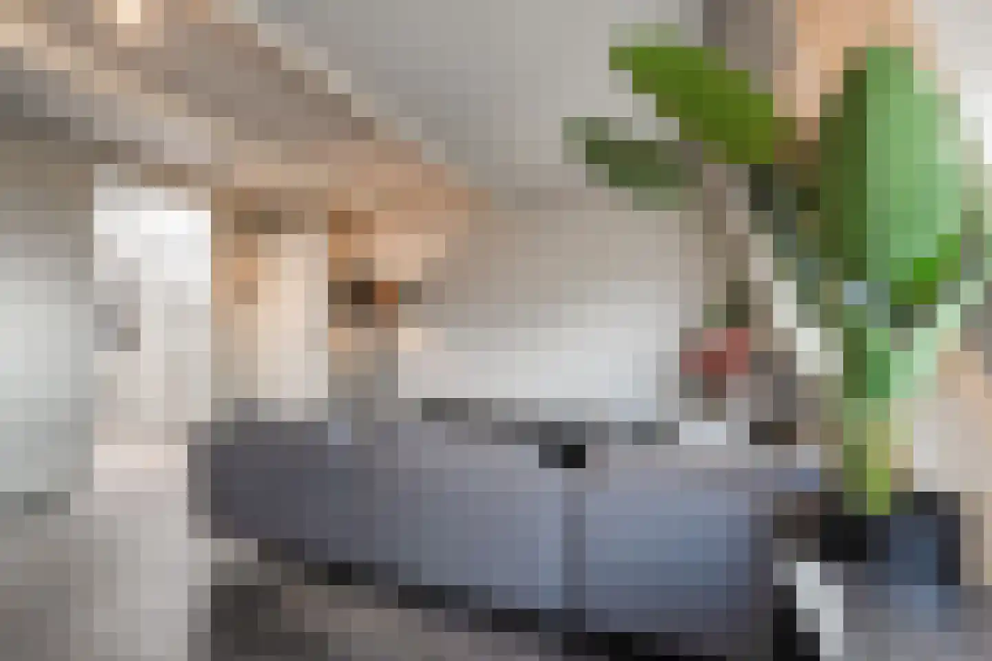 Ruyschstraat 52 1 Amsterdam thumbnail 7