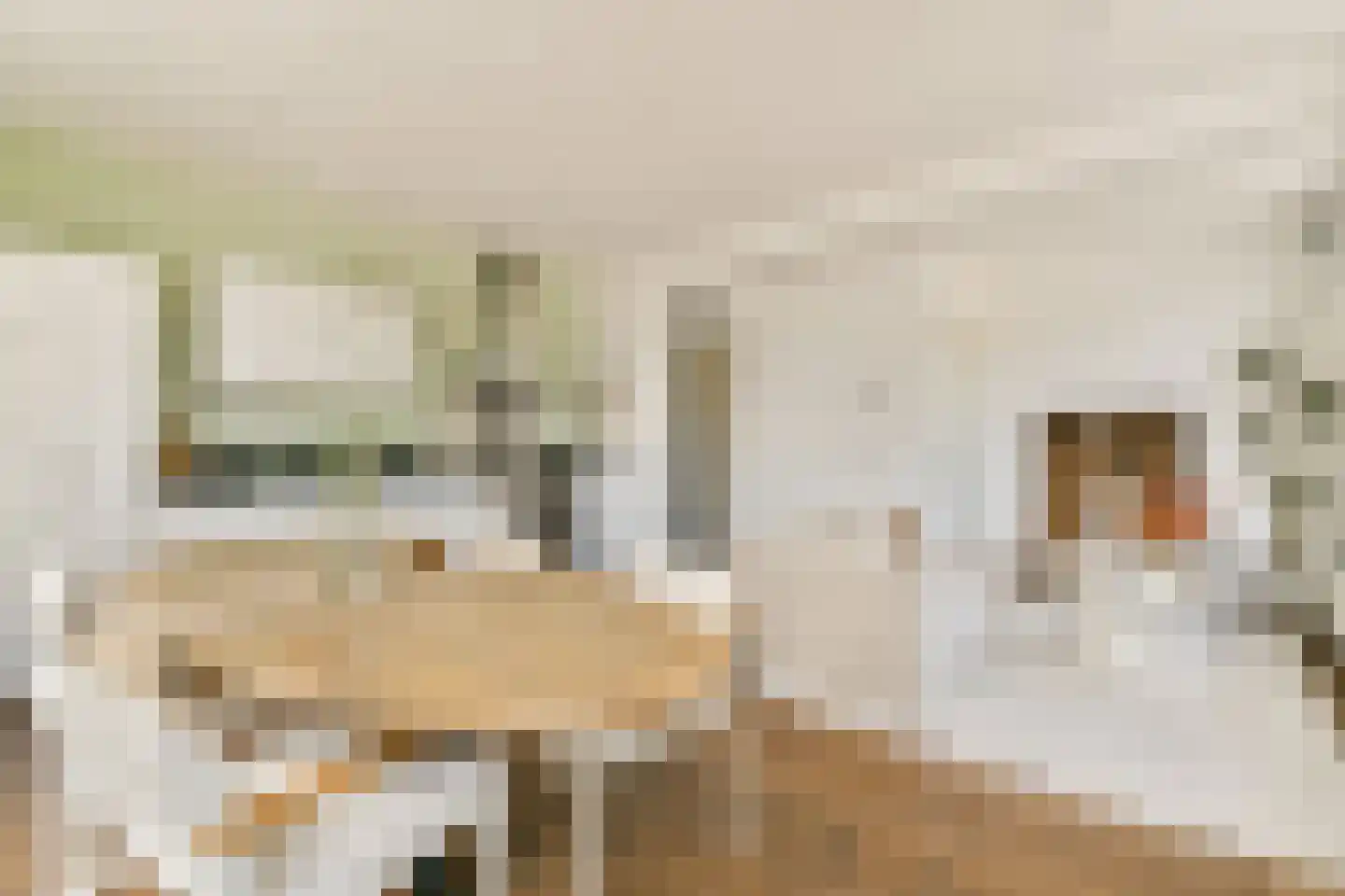 Ruyschstraat 52 1 Amsterdam thumbnail 7