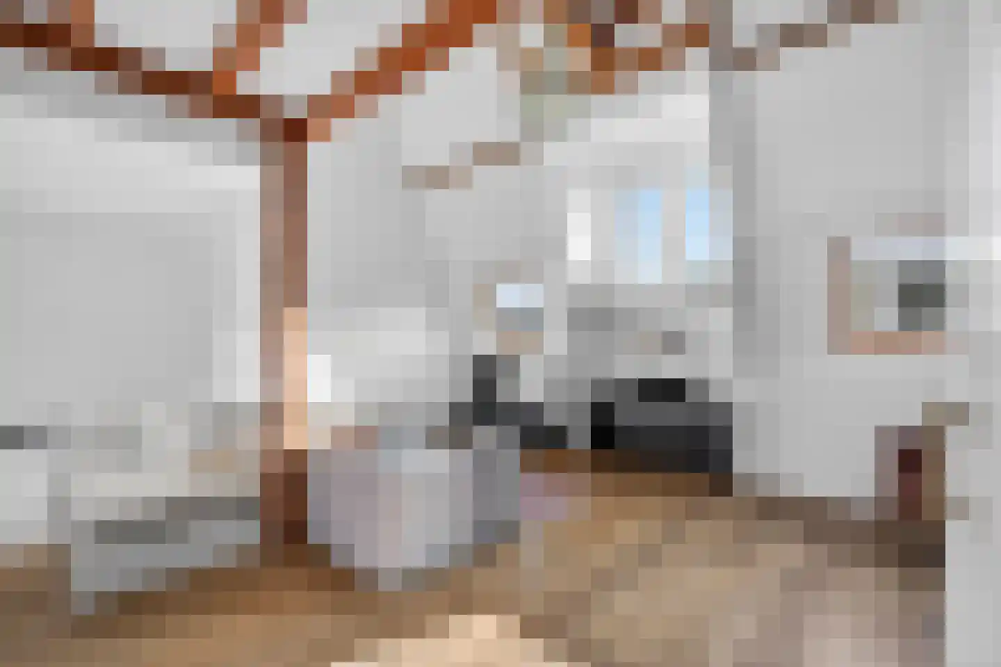 Ruyschstraat 7 H Amsterdam thumbnail 6
