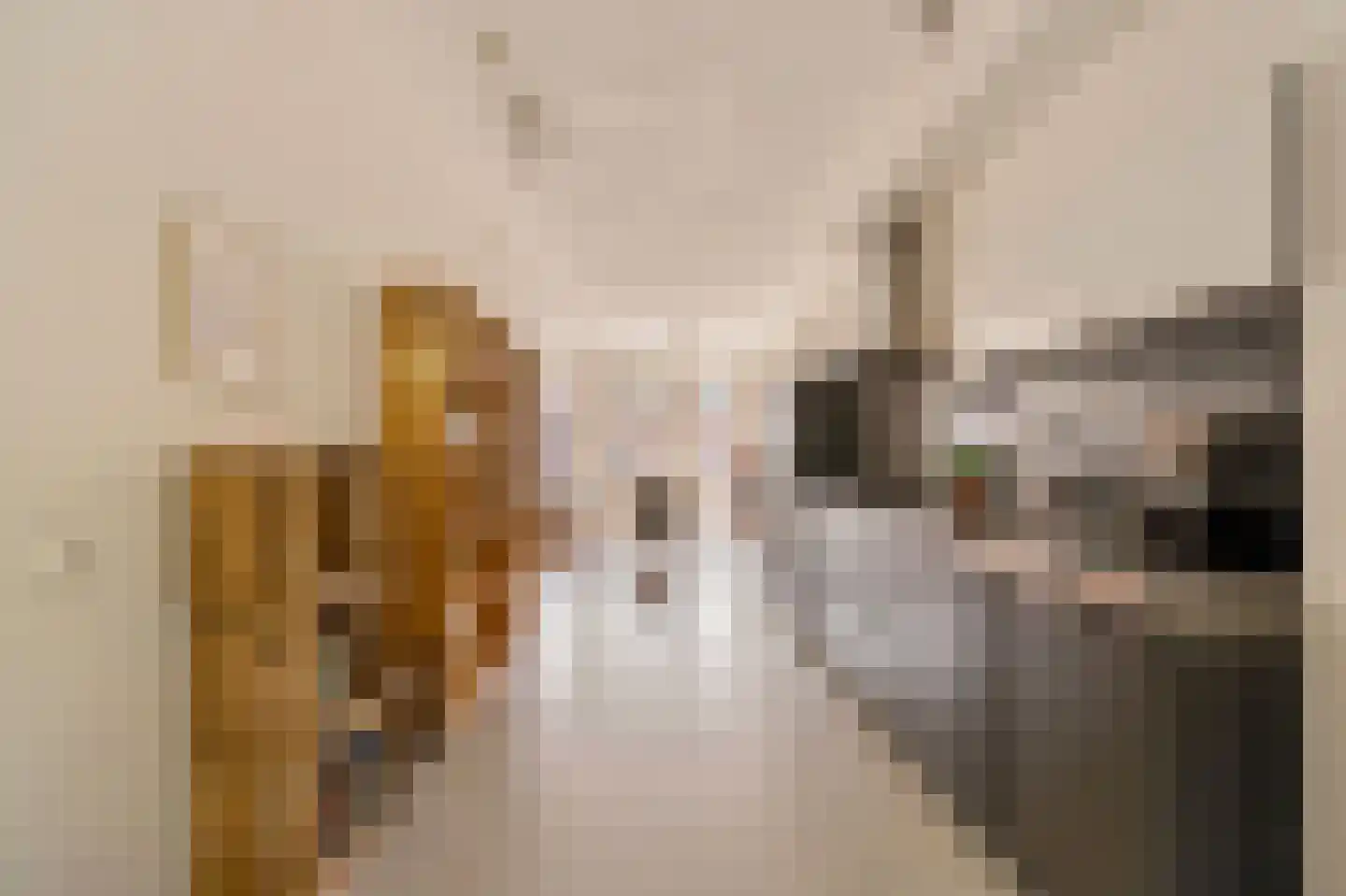 Ruyschstraat 71 3 Amsterdam thumbnail 14