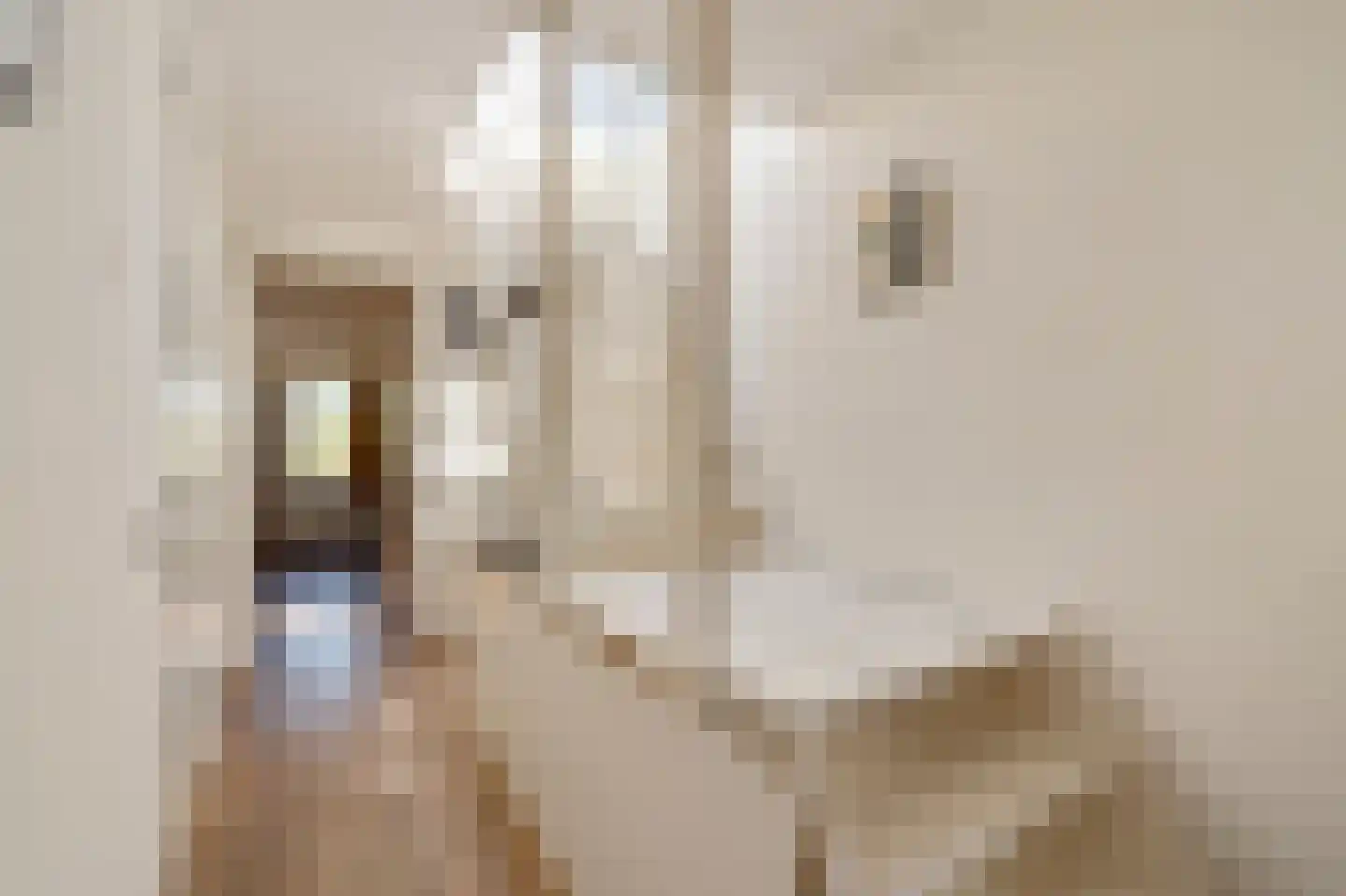Ruyschstraat 71 3 Amsterdam thumbnail 33