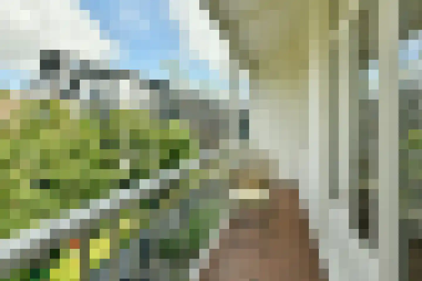 Ruyschstraat 75 3 Amsterdam thumbnail 5