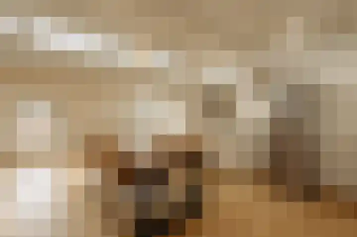 Ruyschstraat 77 3 Amsterdam thumbnail 6